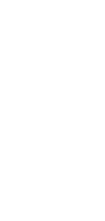 <span>柔らかなピンクの</span><span>重なり、透くような</span><span>淡桃の静謐。</span>