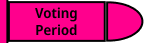 Voting Period