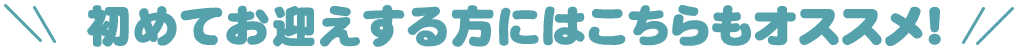 初めてお迎えする方にはこちらもオススメ！