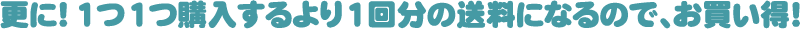 更に！1つ1つ購入するより1回分の送料になるので、お買い得！
